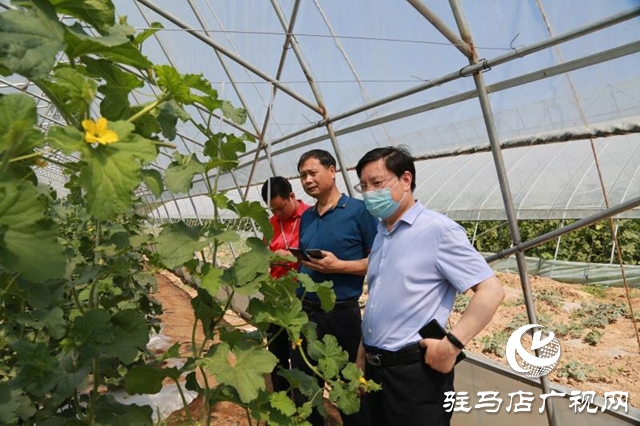 市人大常委會(huì)機(jī)關(guān)和趙堯村黨支部開(kāi)展結(jié)對(duì)共建活動(dòng)