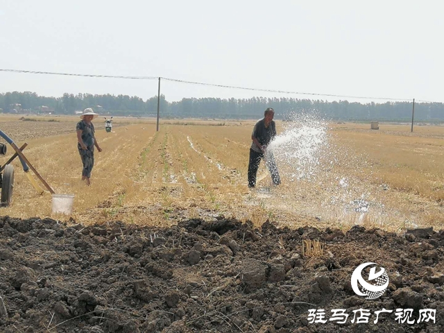 汝南縣邢莊村:筑壩截水、疏通溝渠，抗旱搶種保“三夏”