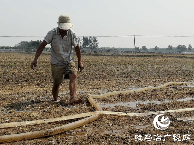 汝南縣邢莊村:筑壩截水、疏通溝渠，抗旱搶種保“三夏”