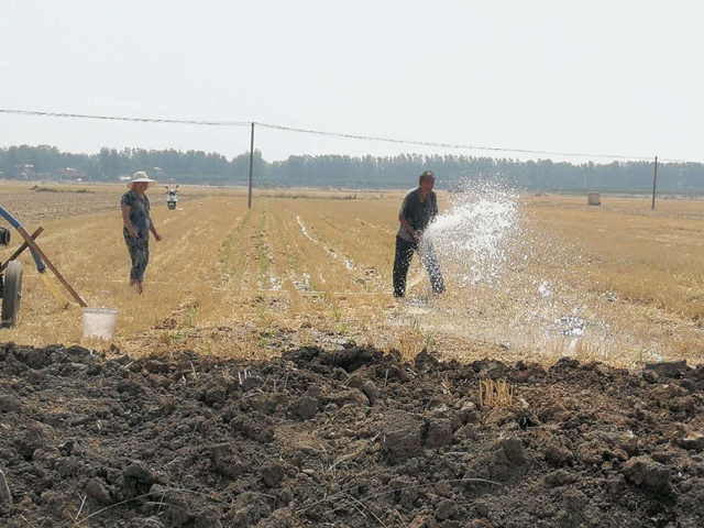 汝南縣邢莊村:抗旱搶種?！叭摹?></a></p>
		                <div   id="kxi9bvwefu"   class=