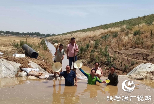 汝南縣邢莊村:筑壩截水、疏通溝渠，抗旱搶種保“三夏”