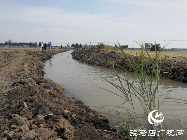 汝南縣邢莊村:筑壩截水、疏通溝渠，抗旱搶種保“三夏”