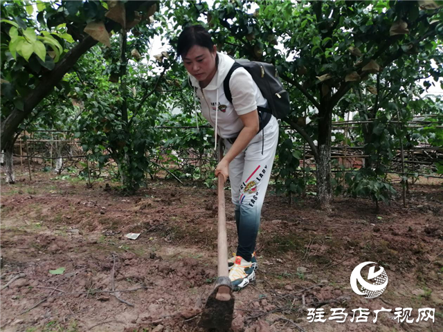 “好鈣肥、北沃造”——北沃農業(yè)打造“鈣肥航母”