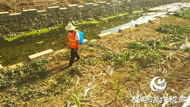 汝南縣王崗鎮(zhèn)開(kāi)展河湖破堤種植及非法圍墾行為專項(xiàng)整治活動(dòng)