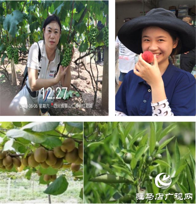 “好鈣肥、北沃造”——北沃農業(yè)打造“鈣肥航母”