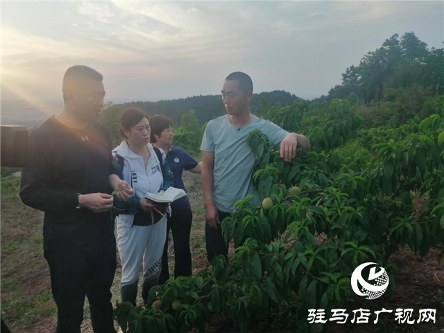 “好鈣肥、北沃造”——北沃農業(yè)打造“鈣肥航母”