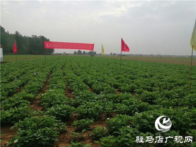 “好鈣肥，北沃造”——北沃農業(yè)全國系列回訪第二站