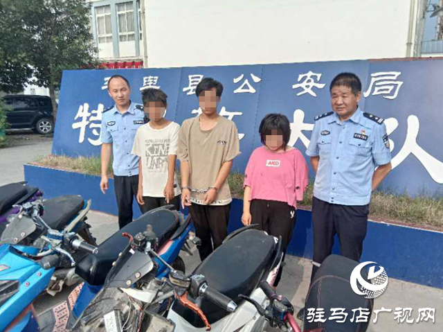 手速再快，還是載了！三個盜電車毛賊平輿落網(wǎng)