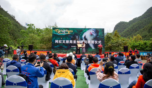 滇金絲猴成為迪慶州文旅局首席顧問(wèn)