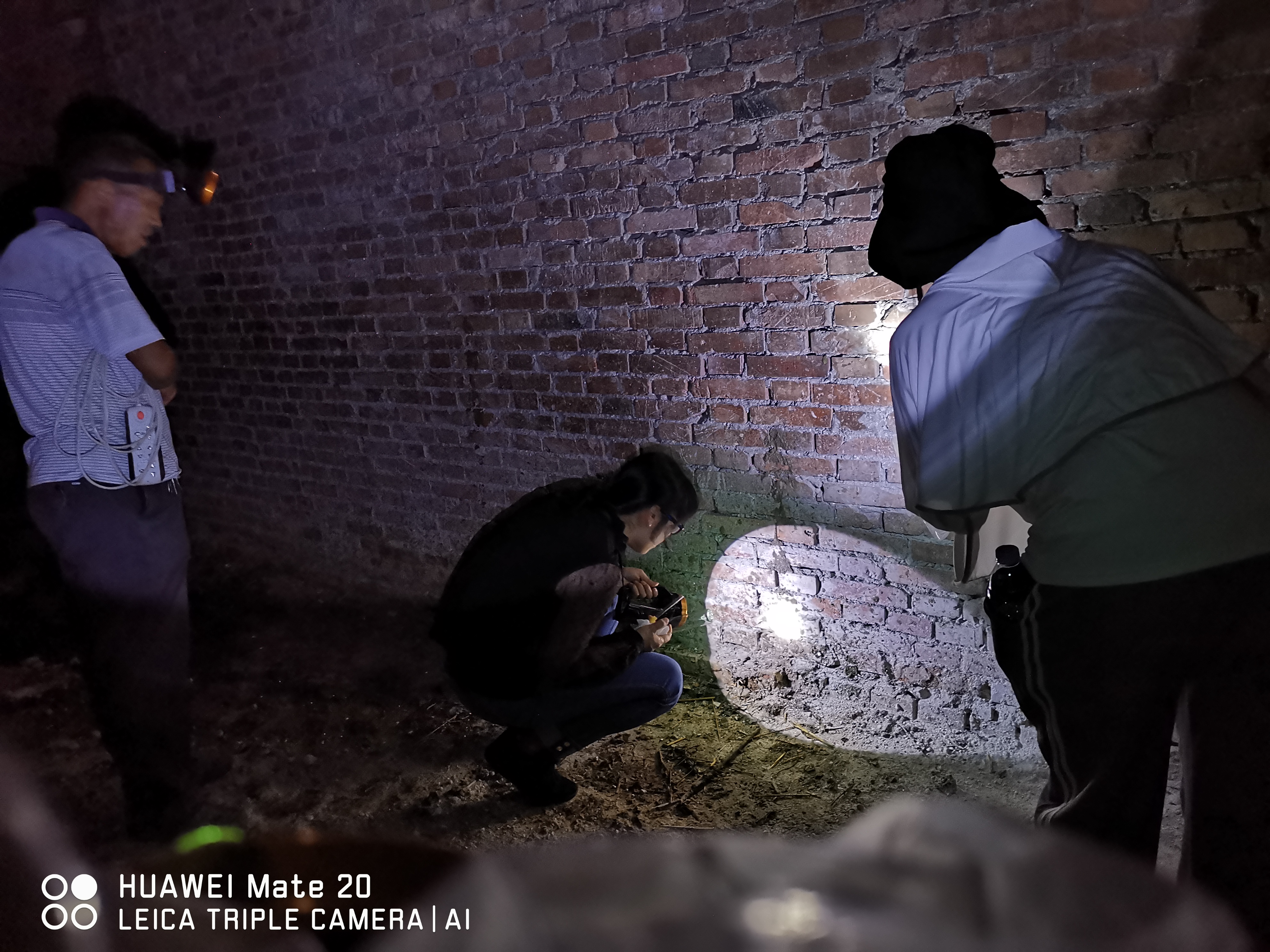 河南兩歲孩子被叮咬患??！省疾控中心專家：警惕黑熱病卷土重來(lái)