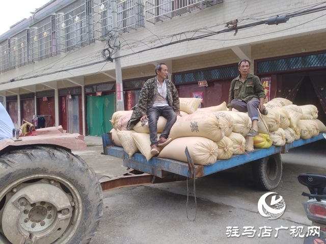正陽縣：農民賣糧“足不出戶”