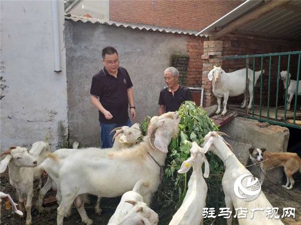 脫貧攻堅鄉(xiāng)村振興相銜接 實現(xiàn)高質量跨越發(fā)展