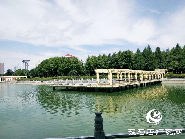 駐馬店：藍天白云景無限 綠樹陰濃夏日長