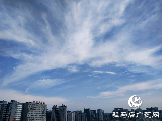駐馬店：藍天白云景無限 綠樹陰濃夏日長