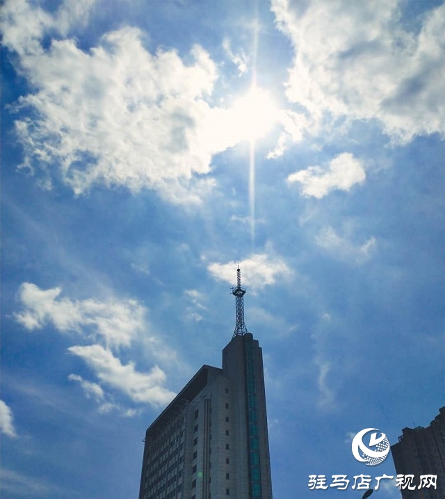 駐馬店：藍天白云景無限 綠樹陰濃夏日長