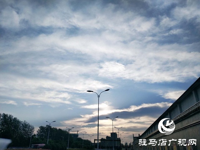 駐馬店：藍天白云景無限 綠樹陰濃夏日長