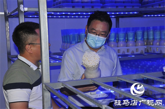 中原銀行駐馬店分行黨委書記、行長(zhǎng)萬三華一行深入泌陽縣特色企業(yè)進(jìn)行實(shí)地調(diào)研