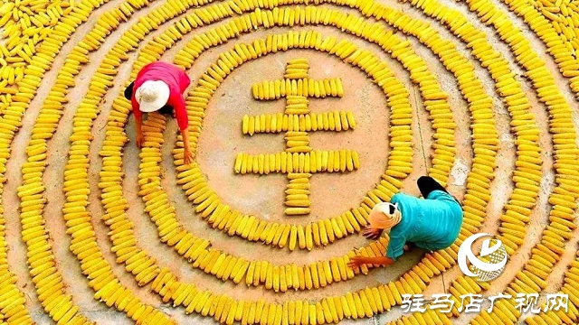 快樂之旅，豐收之行！嵖岈山秋趣豐收歡樂季即將盛大開啟！