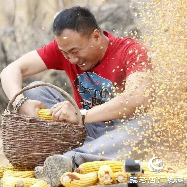 快樂之旅，豐收之行！嵖岈山秋趣豐收歡樂季即將盛大開啟！