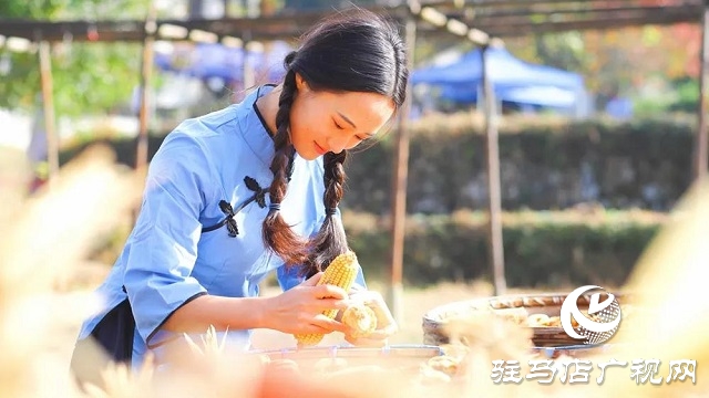 快樂之旅，豐收之行！嵖岈山秋趣豐收歡樂季即將盛大開啟！