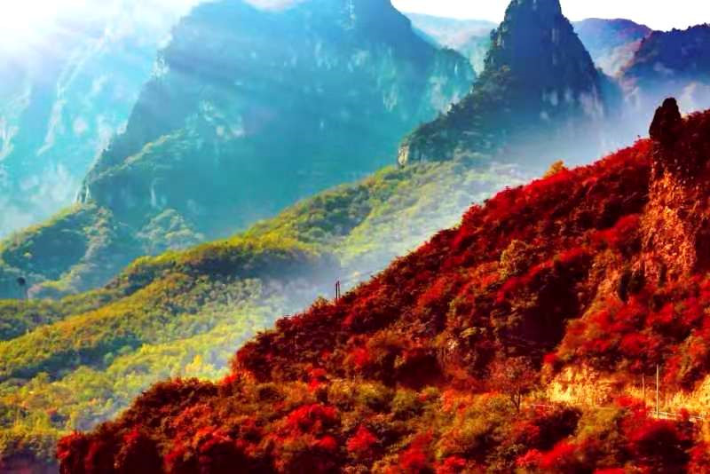 正是老家好時節(jié)，醉美河南惹人來