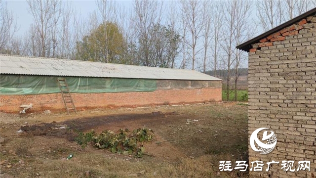 重獲“新生”，泌陽縣下碑寺鄉(xiāng)曹莊村貧困戶養(yǎng)豬走出致富路