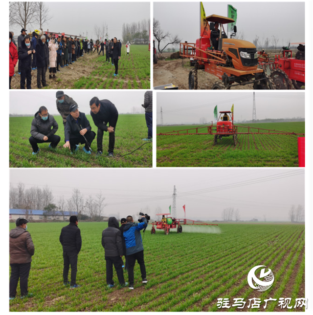 黃淮海冬小麥化肥農(nóng)藥 減施增效技術(shù)集成研究與示范會