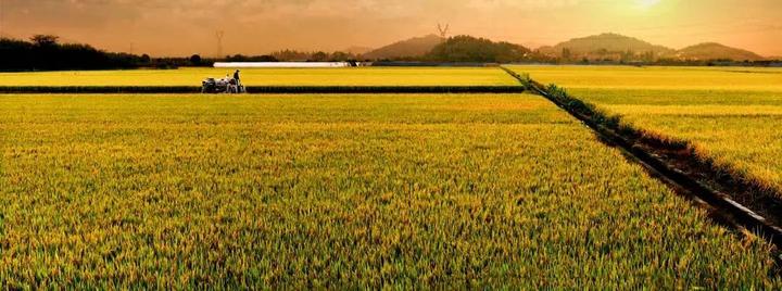 農業(yè)農村部：全國縣域數(shù)字農業(yè)農村發(fā)展總體水平達36.0%