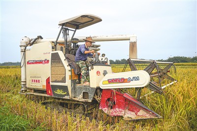 中國糧食生產“十七連豐”