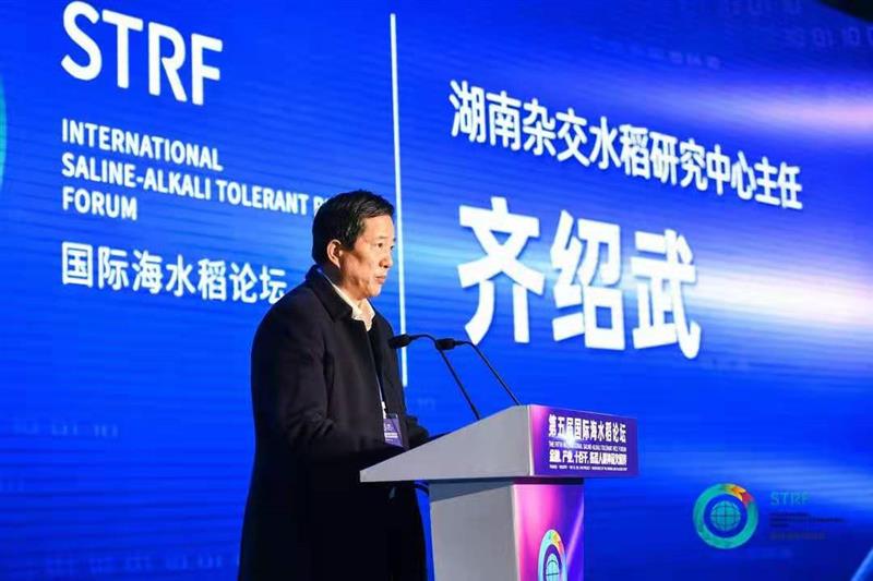 袁隆平:2021年示范推廣100萬畝海水稻種植