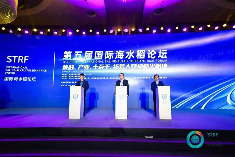袁隆平:2021年示范推廣100萬畝海水稻種植