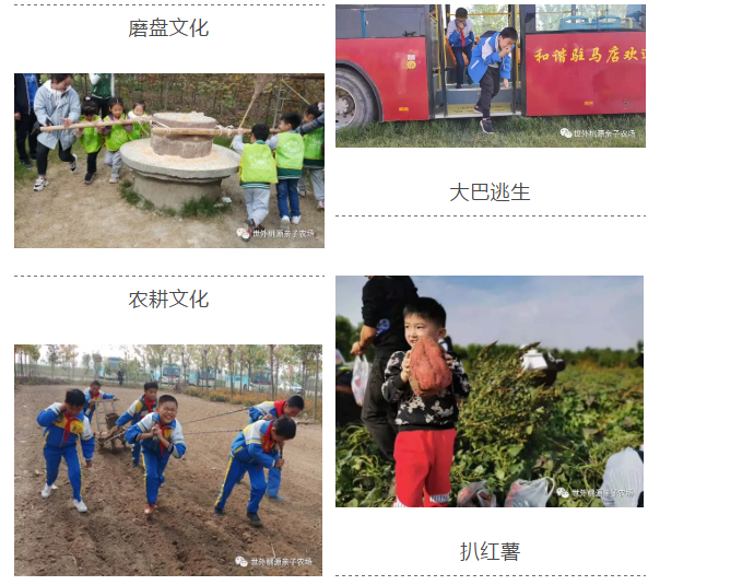 寒假運動休閑哪里好？——到世外桃源享受冬日暖陽