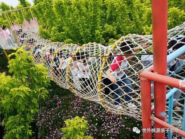 寒假運動休閑哪里好？——到世外桃源享受冬日暖陽