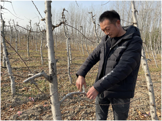 新春種心愿 來(lái)年共致富