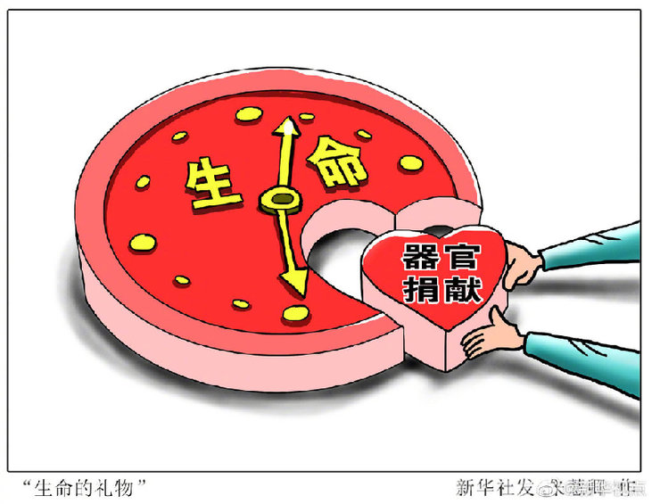全國人大常委會法工委：民法典禁止以任何形式買賣人體器官等