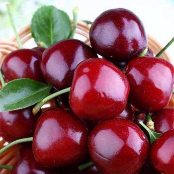 “車?yán)遄釉掝}不斷”觸動(dòng)了誰的敏感神經(jīng)