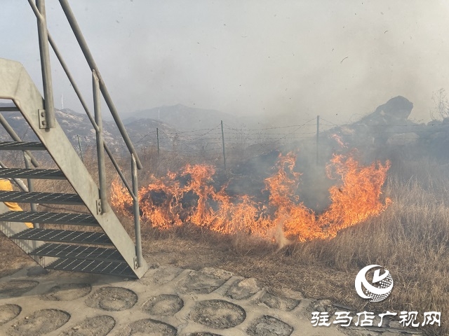 山火來襲 情況緊急 華潤風能迅速撲滅