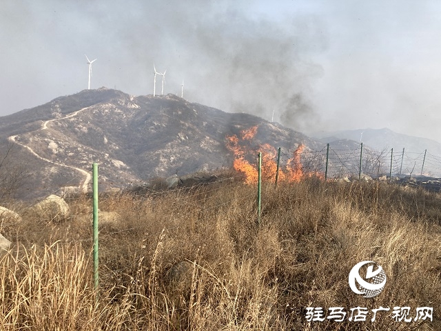 山火來襲 情況緊急 華潤風能迅速撲滅