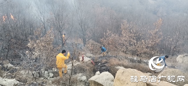 山火來襲 情況緊急 華潤風能迅速撲滅
