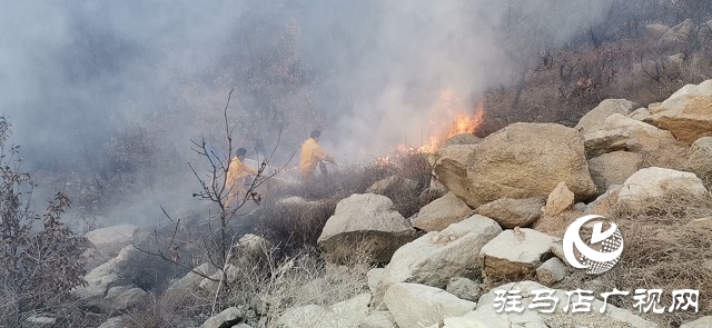 山火來襲 情況緊急 華潤風能迅速撲滅