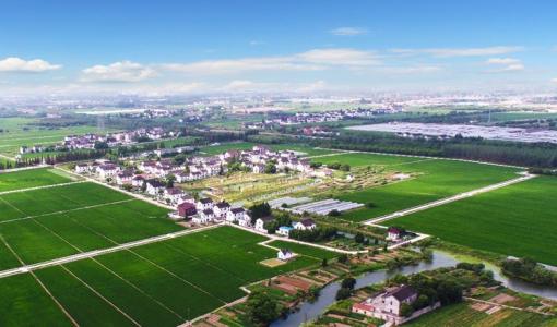 擘畫鄉(xiāng)村全面振興新圖景——專家解讀中央一號(hào)文件