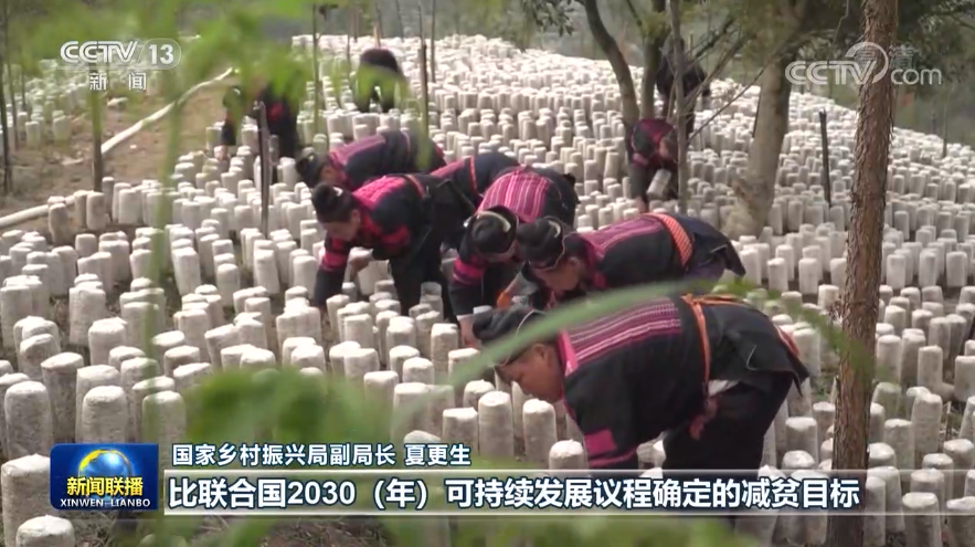 8年持續(xù)奮斗 1億人脫貧！中國(guó)脫貧攻堅(jiān)創(chuàng)造歷史偉業(yè)