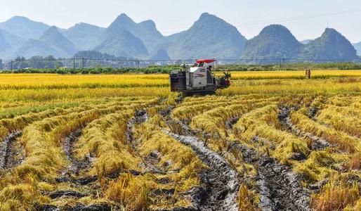 唐仁健在河南調(diào)研時(shí)強(qiáng)調(diào)一環(huán)不落一招不讓抓好糧食生產(chǎn)