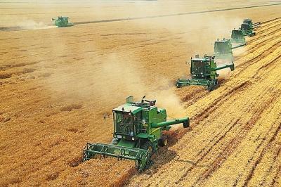 “三農(nóng)”工作面臨歷史性轉(zhuǎn)移，河南“十四五”如何迎接這場(chǎng)歷史性變革？