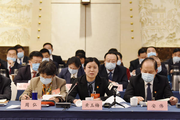 【大河網(wǎng)景】河南代表團舉行全體會議審議政府工作報告