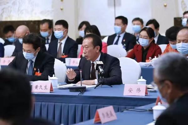 河南代表團(tuán)審查計劃報告和預(yù)算報告