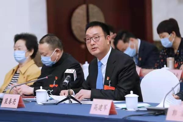 河南代表團(tuán)審查計劃報告和預(yù)算報告