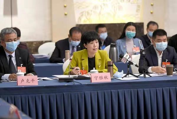 河南代表團(tuán)審議全國人大常委會工作報告“兩高”報告等