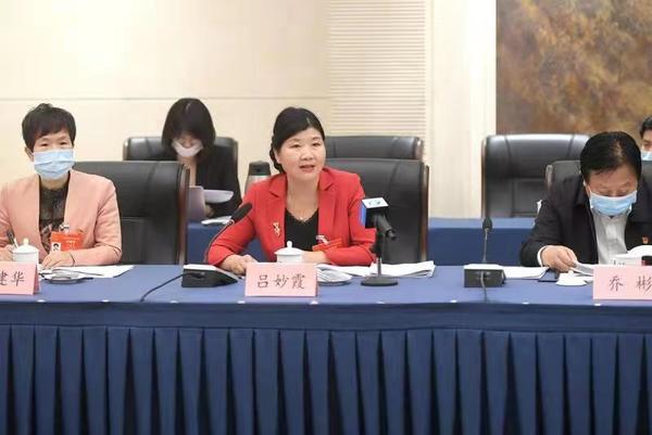 河南代表團(tuán)審議全國人大常委會工作報告“兩高”報告等