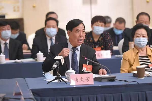 河南代表團(tuán)審查計劃報告和預(yù)算報告